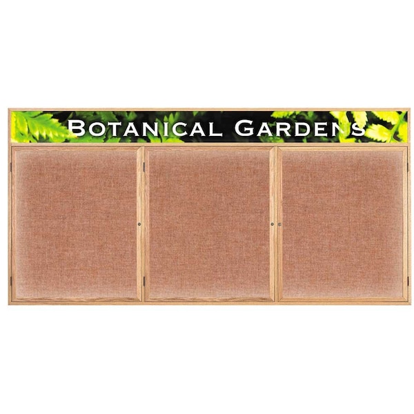 Open Faced Traditional Corkboard, 48x36"